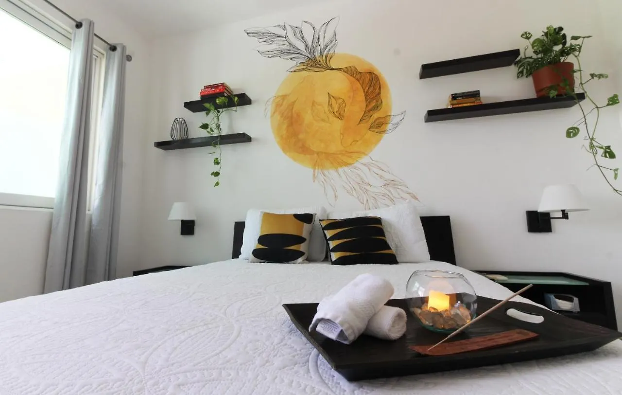 Penthouse With Private Jacuzzi Apartment Playa del Carmen Mexico